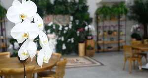 La Nación / Fusionando las orquídeas con la naturaleza, Keiki lanzó su colección verano 2025