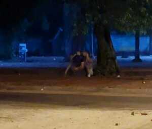Travestis asaltan y casi matan a puñaladas a un hombre en el barrio Ciudad Nueva de CDE - La Clave