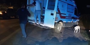 Tragedia en Bella Vista Norte: Motociclista muere tras chocar con un caballo