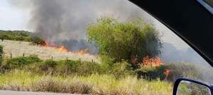 Incendio devasta diez hectáreas en Pilar y pone en peligro el barrio Ytororó - Nacionales - ABC Color