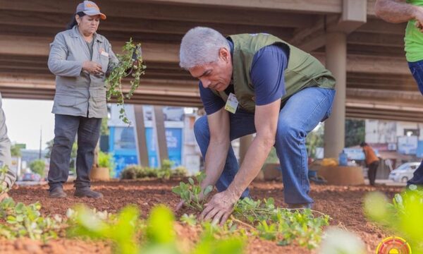 Ciudad del Este busca ser más verde: arrancan con flores en el Km 4