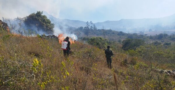 Hectáreas afectadas por incendios forestales en el país ascienden a más de 34 mil
