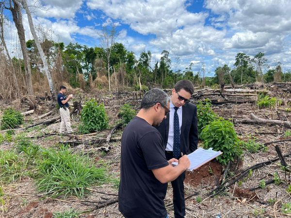 Fiscalía tomará intervención sobre grave denuncia ambiental en San Cristóbal - La Clave