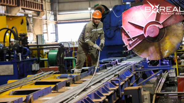 Importaciones de materia prima incrementaron un 15 % al cierre del 2024 - Unicanal