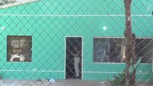 Feminicidio: “Ajapo la macanada”, dijo tras matar a su pareja