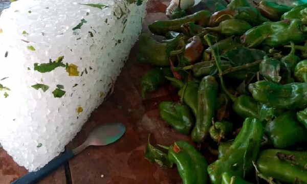 Devastadora granizada arrasa con cultivos en San Juan, Misiones – Prensa 5