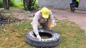 SENEPA intensifica lucha contra enfermedades transmitidas por mosquitos