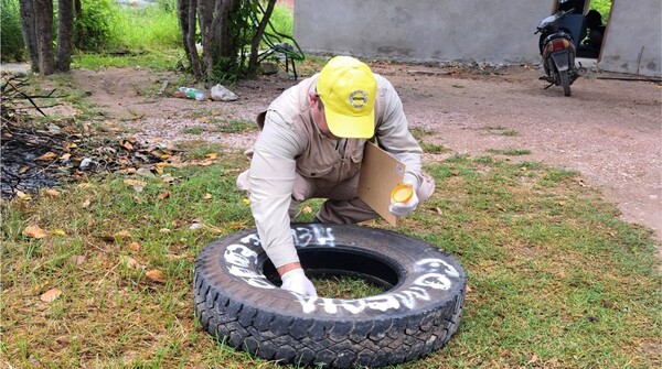 SENEPA intensifica lucha contra enfermedades transmitidas por mosquitos