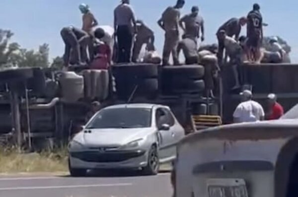 Argentina: volcó un camión con vacas y vecinos las faenaron al contado de la ruta - 1000 Noticias
