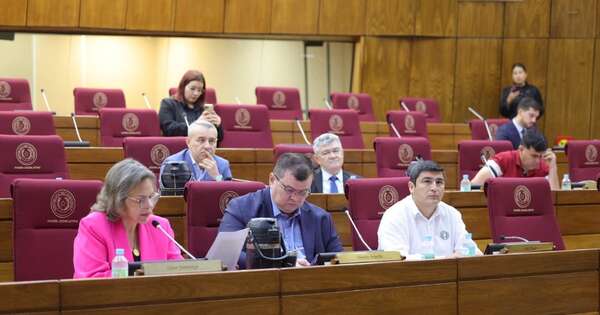 La Nación / Comisión Permanente insta al procurador a recuperar el dinero desviado de Central