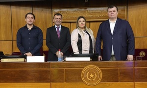 Comisión permanente del Congreso sesionó para tratar pedidos de vacaciones y otros temas - OviedoPress