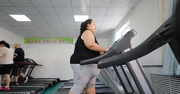 La Nación / ¿Una persona obesa está enferma?