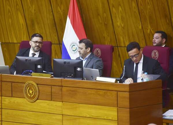 Por “orden superior”, Diputados tratará reforma a ley de APP en pleno receso parlamentario - Política - ABC Color