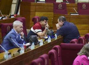 Comisión Permanente del Congreso paraguayo repudia a Maduro y deslizan crítica a “Maduro’i” - Política - ABC Color