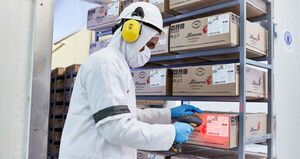 Mercado mundial de la carne con perspectivas de menor oferta y mejores precios en 2025