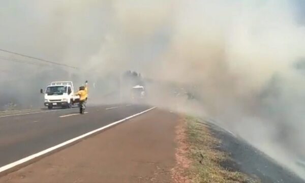 Hectáreas afectadas por incendios forestales en el país ascienden a más de 34 mil