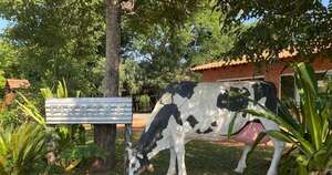 Diario HOY | En Piribebuy saldrán a decomisar y sacrificar animales sueltos