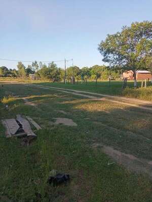 Ayolas: vecinos denuncian supuesta irregularidad en loteamiento de tierras en compañía Corateí - Nacionales - ABC Color