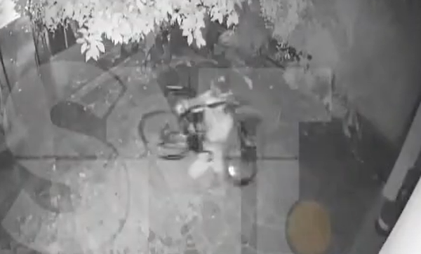 Adicto roba bicicleta de alto valor en Fernando de la Mora - SNT