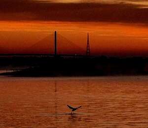 Plantean ruta fluvial y terrestre para conectar Ita Pytã Punta con casco histórico y bahía de Asunción - Nacionales - ABC Color
