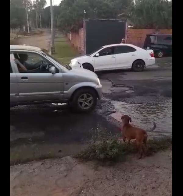 Roque Alonso y sus baches - Crónicas Ciudadanas - ABC Color
