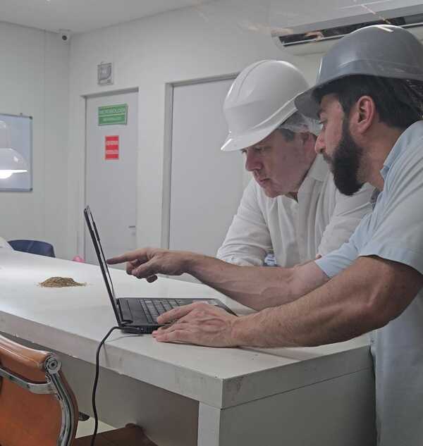 Gobierno pretende legalizar el consumo de cannabis y superar con esto los ingresos de Itaipú y Yacyreta combinados | Locales | 5Días