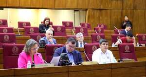 La Nación / Permanente convoca a Diputados para tratar modificaciones a Ley de APP, en sesión extra