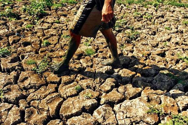 Las sequías serán cada vez más largas, frecuentes y extremas por causa del cambio climático - Ciencia - ABC Color