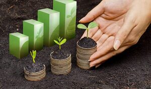 Sostenibilidad y sector privado en 2025: vienen grandes cosas | Columnas | 5Días