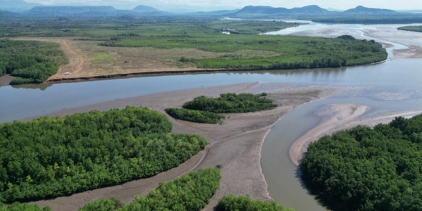 Panamá: Comienza construcción de nueva terminal multiuso en Puerto Barú | Internacionales | 5Días