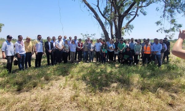 Avanza proyecto del gran Hospital General de Concepción con visita técnica al predio – Diario TNPRESS