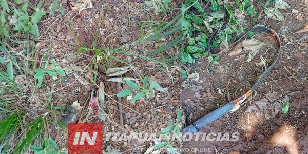 UNA MUJER APUÑALÓ A SU HIJO TRAS UNA DISCUSIÓN EN YATYTAY - Itapúa Noticias