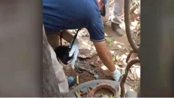 Detienen a partera que hacía abortos clandestinos y enterraba los fetos en su patio