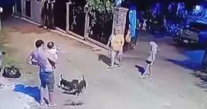 Diario HOY | Conductor descontrolado atropelló a varios perros