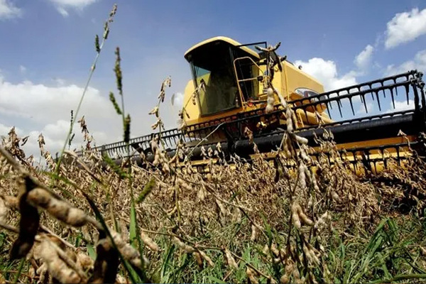 Sequía afecta a pequeños productores de soja
