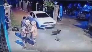 Un loco al volante arrolló a varios perros, mató a dos y otros quedaron heridos