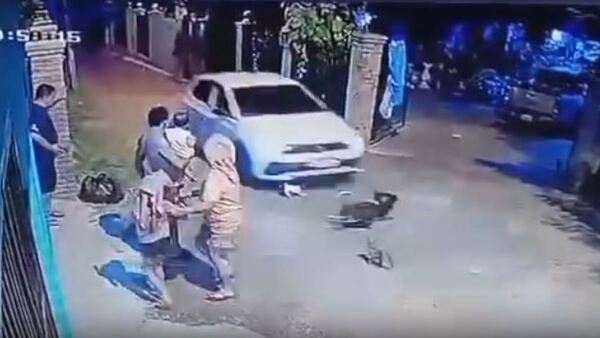 Un loco al volante arrolló a varios perros, mató a dos y otros quedaron heridos
