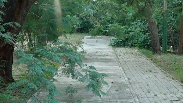 Parque de IPS, en estado de abandono, clausurado para las personas - Nacionales - ABC Color