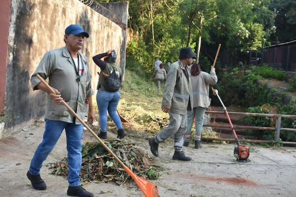 Minga en Asunción y Lambaré: multarán por más de G. 5 millones a propietarios de baldíos sucios - Nacionales - ABC Color