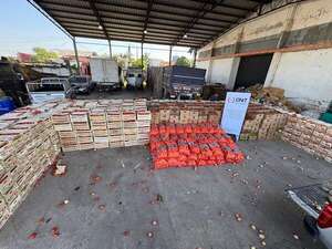 Se incautaron de más de 20.000 kilos de tomates sin documentación en Fernando de la Mora - Nacionales - ABC Color