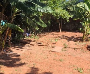 Mujer es asesinada a puñaladas y su cuerpo arrojado al patio vecino - ADN Digital