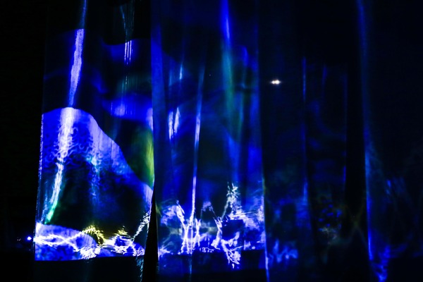 Obra inmersiva invita a una experiencia única para imaginar y sentir el mar - .::Agencia IP::.