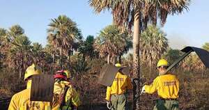Diario HOY | Nuevo reporte registra más de 40 mil hectáreas del país afectadas por incendios forestales