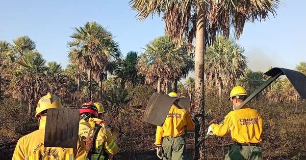 Diario HOY | Nuevo reporte registra más de 40 mil hectáreas del país afectadas por incendios forestales
