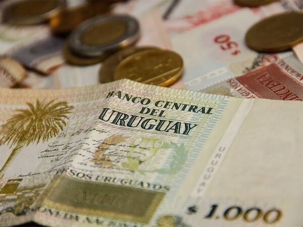 BCU estima crecimiento de la economía de 3,5% para 2025 con fuerte incidencia del gasto privado | Internacionales | 5Días