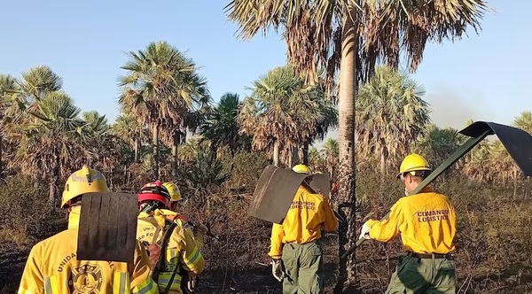 Más de 40.000 hectáreas afectadas por incendios forestales en Paraguay