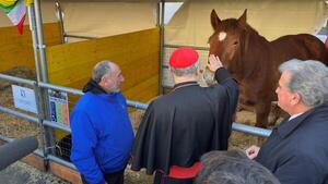 Los animales llegan al Vaticano por San Antonio para reivindicar el campo