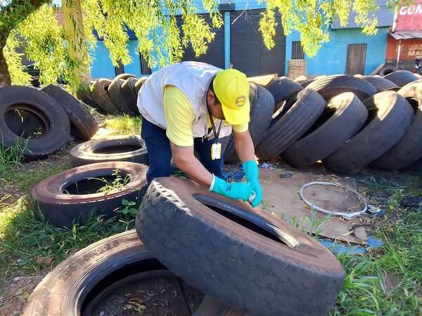 Dengue registra nuevos brotes y aumento de notificaciones en 13 regiones del país - Nacionales - ABC Color