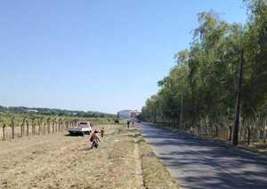 Invertirán más de G. 4.800 millones para recuperar franja de Ruta D025 | Economía y Finanzas | 5Días