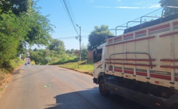 “Piratas del asfalto” interceptan camión y roban 5.000 dólares